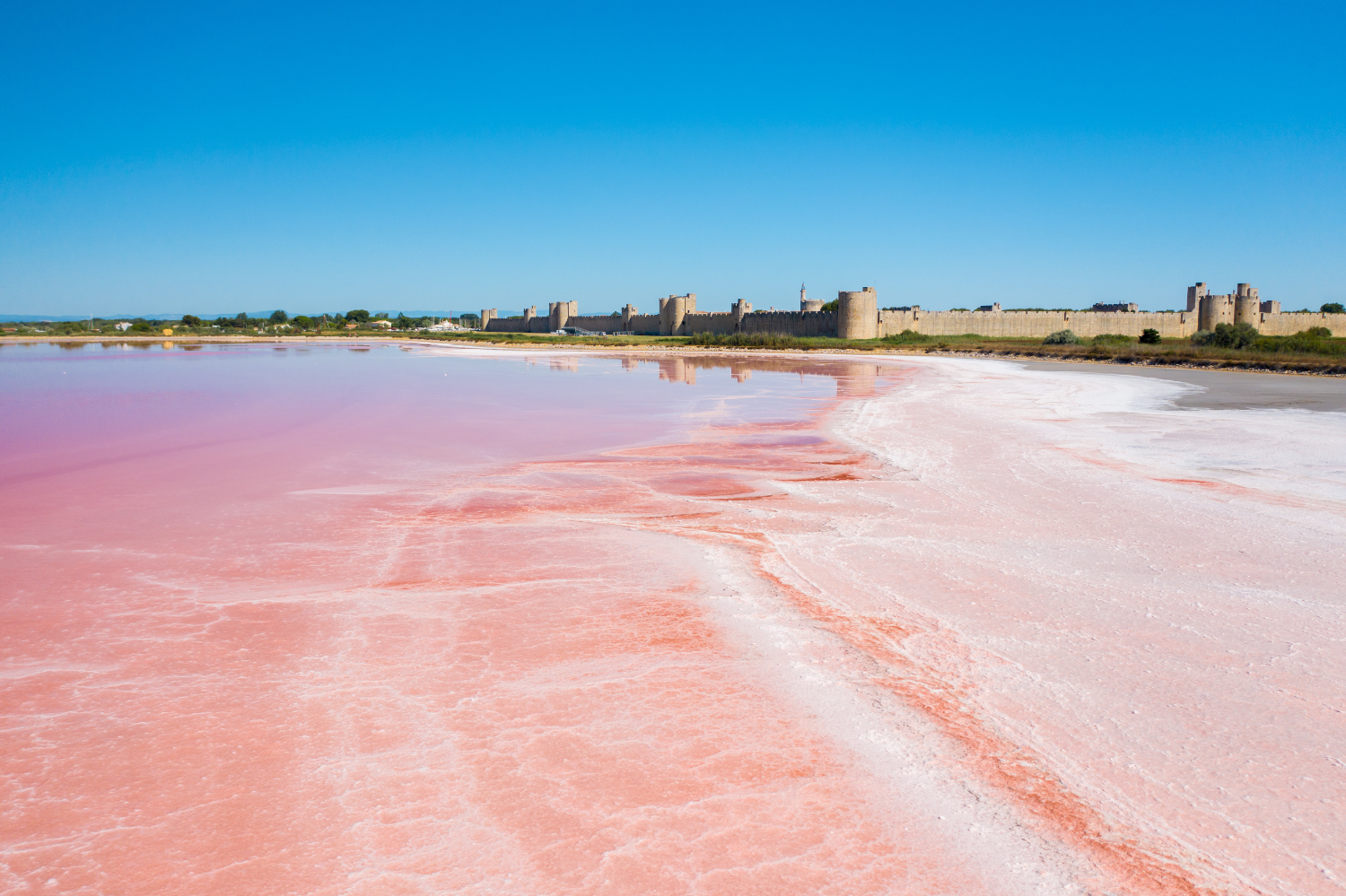 Pink Salt: A pinch to add 80 trace minerals, maintain body’s pH balance, improve gut health, and more..